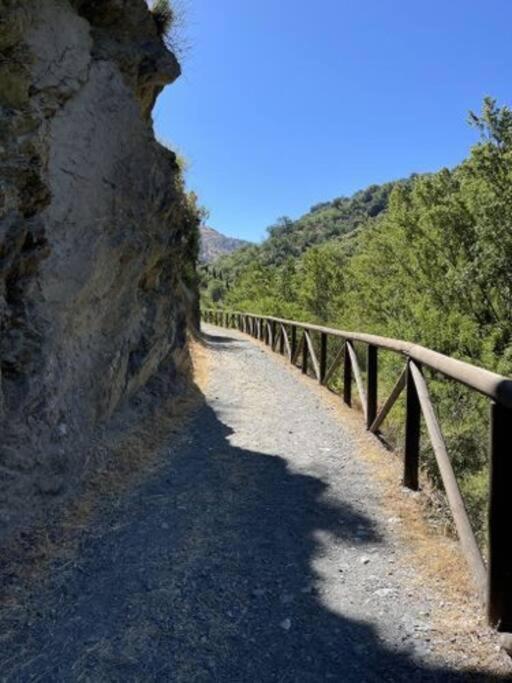 Coqueto Estudio Junto A Sierra Nevada 圭哈尔谢拉 外观 照片