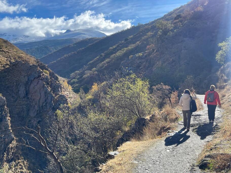 Coqueto Estudio Junto A Sierra Nevada 圭哈尔谢拉 外观 照片